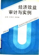 经济效益审计与实例