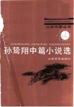 孙鸷翔中篇小说选