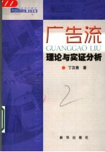 广告流 理论与实证分析