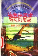 神奇的甬道