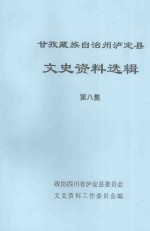 甘孜藏族自治州泸定县文史资料选辑 第8集