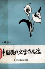 中国现代文学作品选 续编