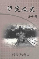 甘孜藏族自治州泸定县文史资料选辑 第10集