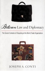 BETWEEN LAW AND DIPLOMACY THE SOCIAL CONTEXTS OF DISPUTING AT THE WORLD TRADE ORGANIZATION