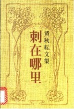 刺在哪里 文艺随笔、文学评论