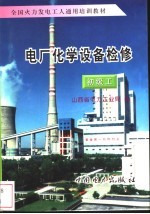 电厂化学设备检修 初级工