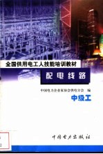 配电线路 中级工