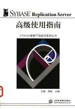 Sybase Replication Server高级使用指南