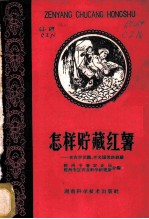 怎样贮藏红薯 老农李世鹏、李光爄等谈经验