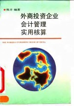 外商投资企业会计管理实用核算