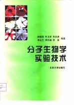 分子生物学实验技术