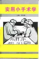 实用小手术学