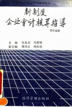 新制度企业会计核算指导