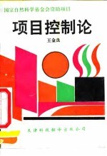 项目控制论