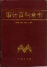 审计百科全书