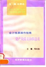 资产负债表和损益表