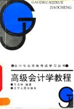 高级会计学教程 会计学总论
