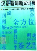 汉语新词新义词典