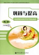 巩固与提高 数学 九年级 下
