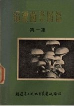 福建菌类图鉴 第1集