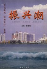 振兴潮 “东北振兴 沈阳先行”集锦