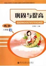 巩固与提高 数学 八年级 上