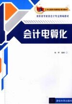 会计电算化