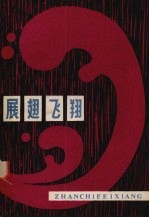 展翅飞翔
