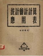统计会计计算应用表