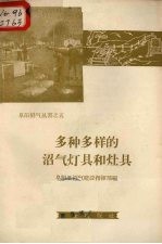 多种多样的沼气灯具和灶具