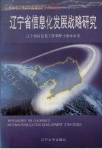 辽宁省信息化发展战略研究