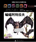 西顿动物故事 12 蝙蝠阿特拉夫 低幼版