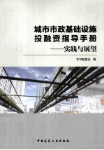 城市市政基础设施投融资指导手册 实践与展望