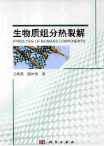 生物质组分热裂解