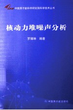 核动力堆噪声分析