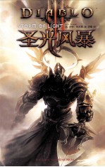 暗黑破坏神 3 圣光风暴