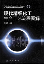 现代精细化工生产工艺流程图解