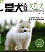 大型犬 爱犬大联盟