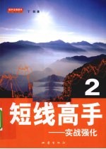 短线高手 2 实战强化