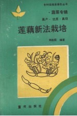 莲藕新法栽培