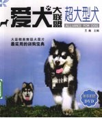 超大型犬 爱犬大联盟