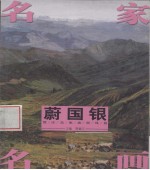 名家名画 蔚国银写意人物作品