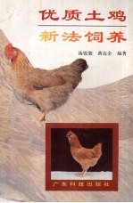 优质土鸡新法饲养