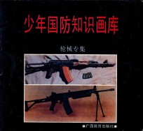 少年国防知识画库 枪械专集