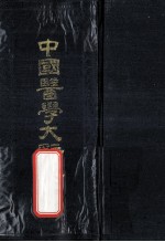 中医大辞典 下