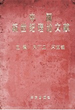 中国新世纪理论文献 1