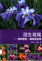 湿生鸢尾 品种赏析、栽培及应用