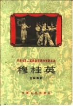 穆桂英 古装豫剧