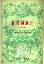 红花遍地开 花灯剧