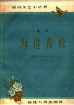 海边青松 特写